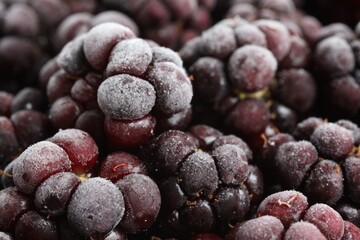 Many frozen blackberries as background, macro view