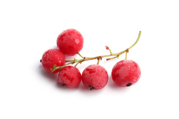 Red frozen currant berries isolated on white