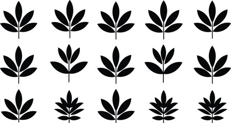 Minimal plant leaf icon set, botanical nature symbol vector illustration, eco design clipart, flat vector illustration