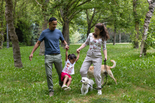 Happy family is swinging their daughter while walking their dogs in a park - Powered by Adobe