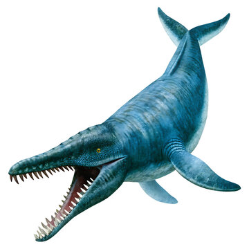 Blue mosasaurus open mouth isolated on a transparent background.PNG