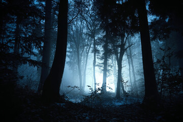 Misty Halloween Forest: Dark Fantasy Landscape
