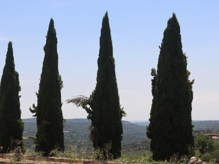 Beautiful landscapes of towns, historic buildings, living nature with large trees, endless views