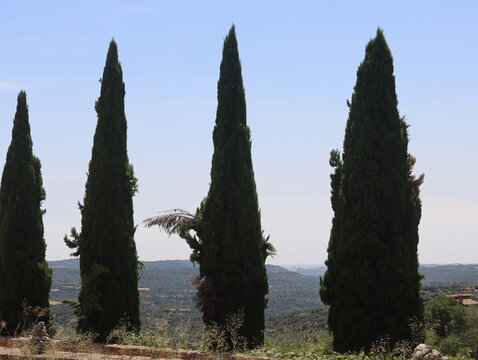 Beautiful landscapes of towns, historic buildings, living nature with large trees, endless views