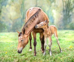 Newborn Appaloosa horse foal baby animal with adult female mare horse. Stylized digital photo art. 
