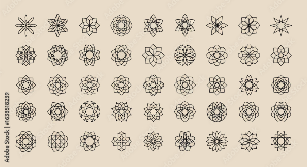 Poster vector art of a diverse array of floral and botanical motifs, presented as decorative elements and s