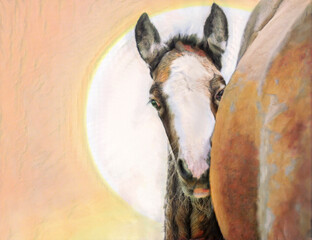 Shy Gypsy Vanner  Horse  foal peers from around moms flank. Stylized digital photo art.