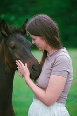 A young woman and her icelandic horse working and cuddle together. Woman lovingly pets a horse in a...