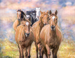 Obraz premium Herd of adult female Spanish Mustang horse mares run head on. Stylized digital photo art.