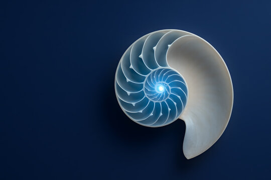 Nautilus Security Metaphor with Spiral Shell Design for Cybersecurity - Powered by Adobe