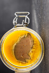 Foie gras goose liver appetizer delicacy fresh delicious gourmet food background on the table...