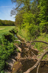 canal draining water in the neighborhood of forest and meadow
