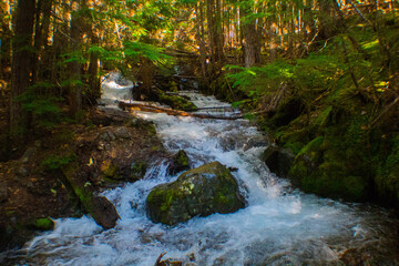 Melted Snow Washout along the Mountainside