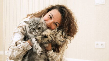 Beautiful woman with curly hair holds two big gray cats in her hands. Two fluffy Maine Coons in the hands of a woman.