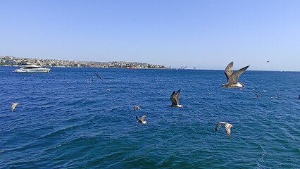 bosphorus of istanbul