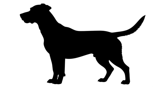 Black silhouette of a dog