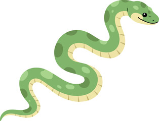 Fototapeta premium Green snake illustration with light beige belly in cartoon style vector drawing 