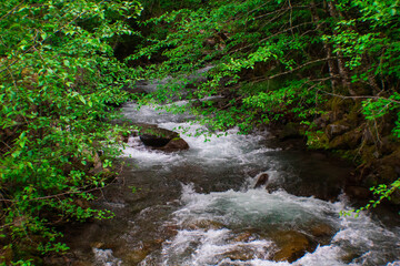 Obraz premium Creek Rapids Flowing along Mt. Hood