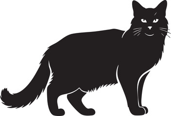 Obraz premium Black cat standing with tail up silhouette