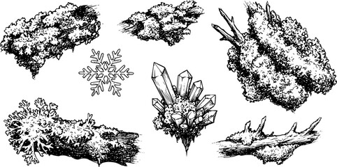 Nature elements sketch with lichen patches and snowflake crystals for artistic design
