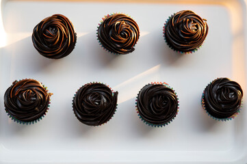 Top view of delicious chocolate cupcakes arranged on white background with warm sunlight — dessert flat lay with natural light for bakery and food styling

