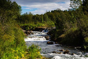 Scenic Forest River with Small Waterfalls in Summer