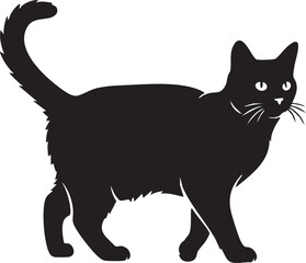 Black cat walking with tail up silhouette