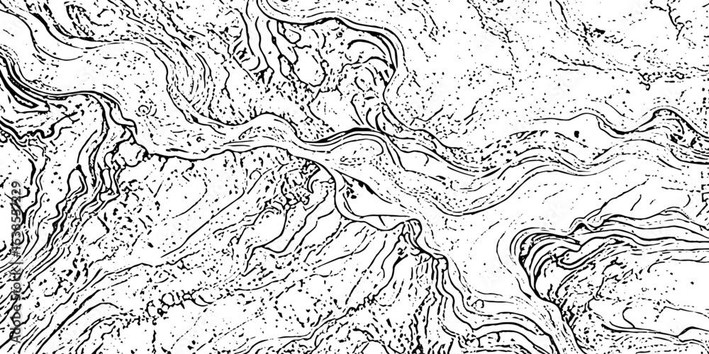 Poster striped black and white texture with organic geometric patterns with swirling lines and scattered do