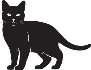 Black cat standing alert silhouette