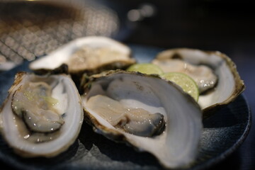 Oysters with lime on crushed ice. Edible raw seafood, view from top. High quality 4k footage © Oleksandra
