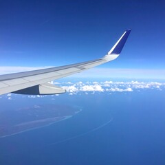 Obraz premium Winged journey above azure seas, a serene view of flight's tranquil perspective