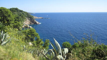view from the coast of the sea
