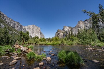 Yosemite National Park, California. Sierra Nevada. Yosemite Valley View. The Merced River is a 145-mile (233 km)-long tributary of the San Joaquin River. Carex nudata is a species of true sedge.	