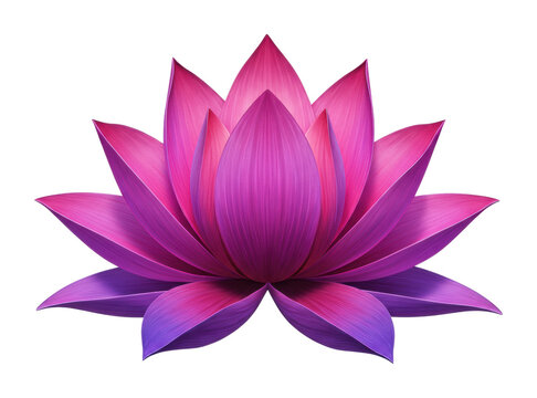 Vibrant lotus flower blooming nature scene tranquil environment serenity concept. Cut out png