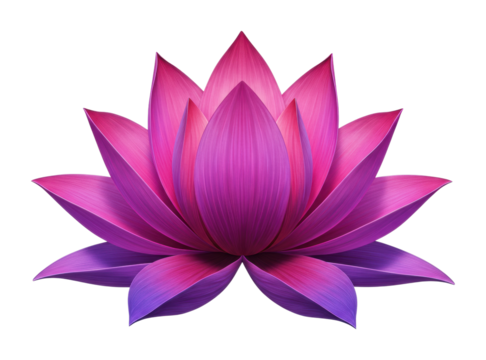 Vibrant lotus flower blooming nature scene tranquil environment serenity concept. Cut out png