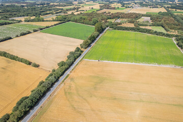 Aerial drone view of golden and green agricultural fields in summer.