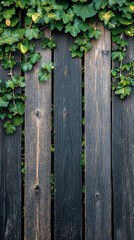 A dark wooden fence richly covered with vibrant green ivy leaves. The natural contrast highlights rustic charm, lush greenery, and a serene outdoor garden atmosphere in soft, natural light.

