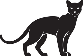 Obraz premium Black cat standing alert in silhouette