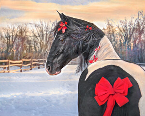 Stylized digital photo art of adult male horse adorned  with red Chrismas bows