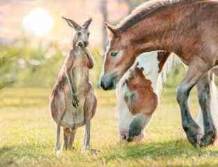 Adult kangaroo encounters adult and baby horses in field Stylized digital photo art.