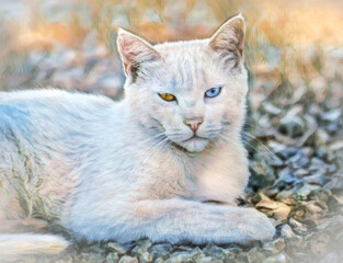 Barn cat with one amber & one blue eye, LYING ON STONE DRIVE. Stylized digital photo art.