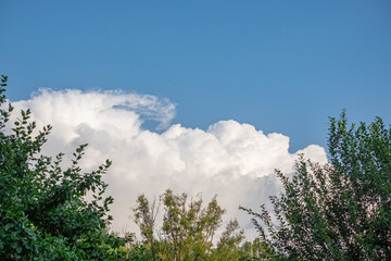 Lush green trees frame a bright blue sky filled with fluffy white clouds, creating a serene and...