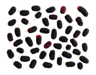 Numerous stylized black grenades with red accents isolated on transparent background