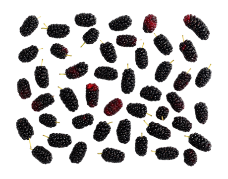 Numerous stylized black grenades with red accents isolated on transparent background