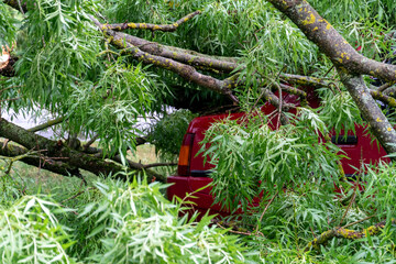 Car trapped under fallen tree branches in a residential area after a storm