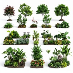 Fototapeta premium Lush Green Tropical Plants and Shrubs Collection