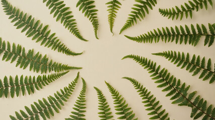 Fototapeta premium Fern leaves overlapping in an abstract radial pattern on clean cream background