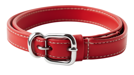 A red dog belt with a shiny silver buckle displayed on a plain white background or transparent png 