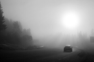Foggy Morning with Car on a Misty Road