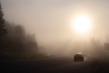 Foggy Morning with Car on a Misty Road